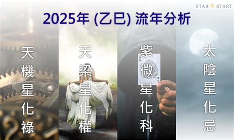 算流年|2025流年運勢 ️紫微斗數流年命盤分析